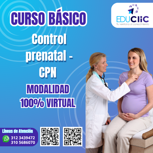Cover image for Control Prenatal · CPN